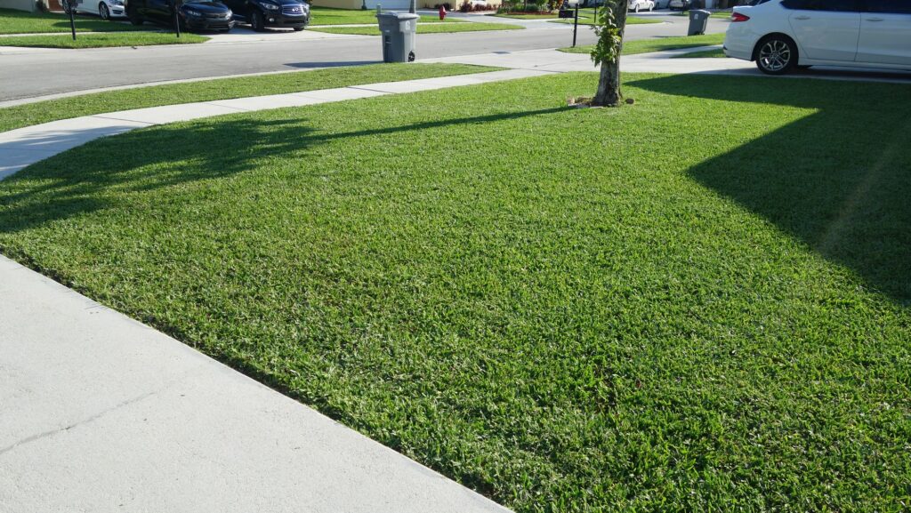 Green Grass Covering A Florida Home’s Front Yard