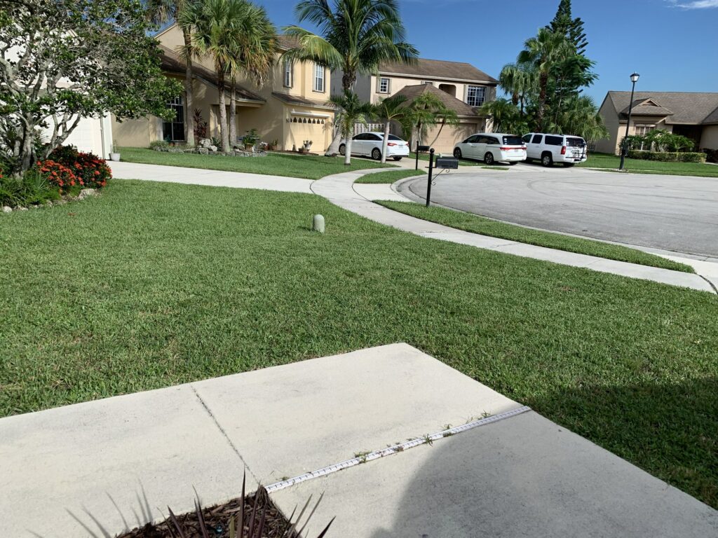 The Walkway On A Florida Home